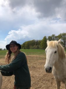 het paard als spiegel