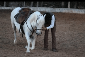 working equitation