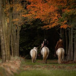 Buitenrit van 2 uur